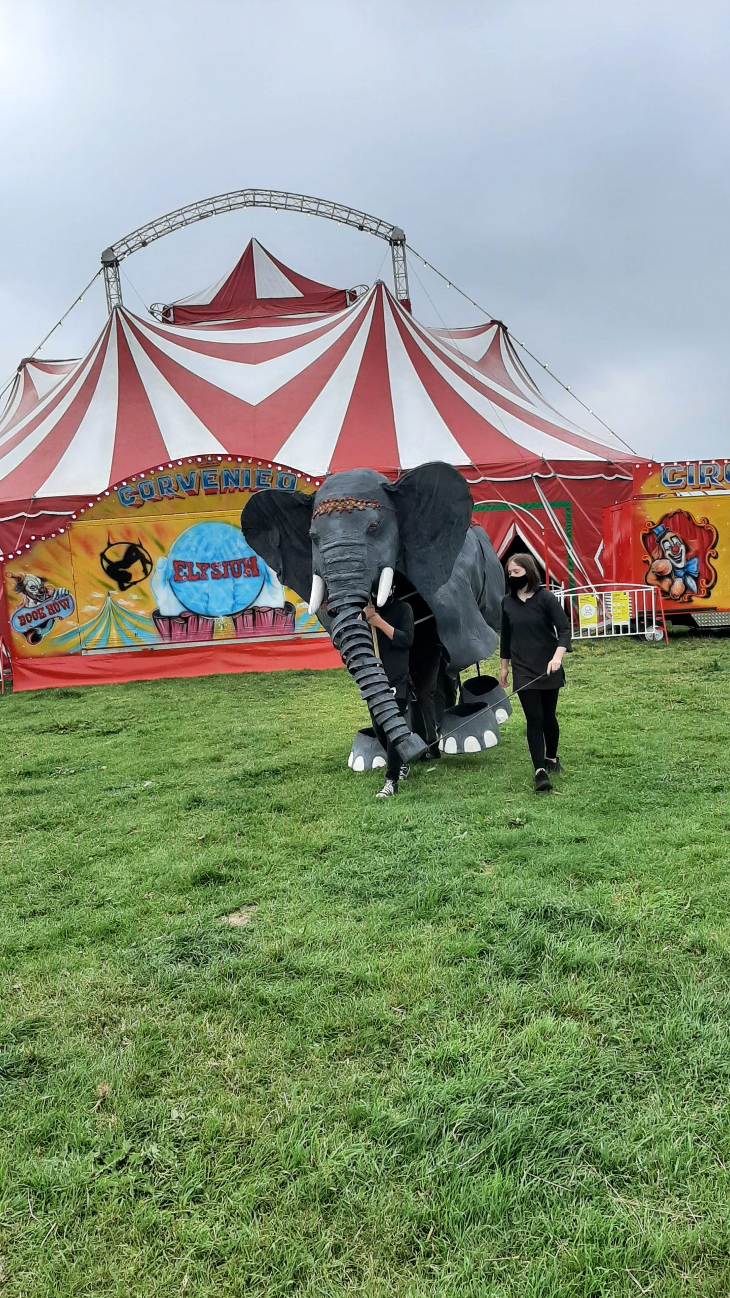 Image for Elephant! Circus comes to town.